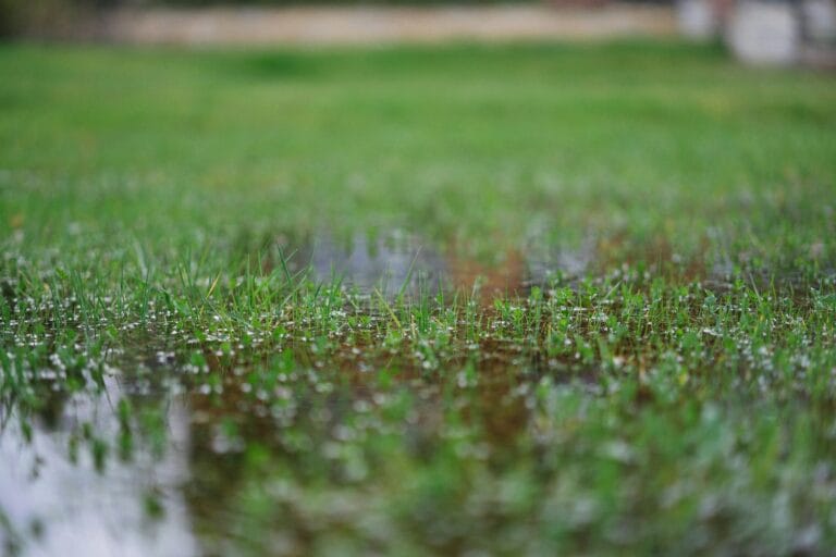 how to prevent dirty water overflow during monsoon